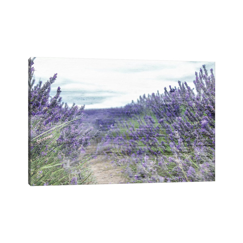 Lavender Field by Kimberly Allen - Wrapped Canvas Gallery-Wrapped Canvas Giclée, 20.32cm H x 20.32cm W