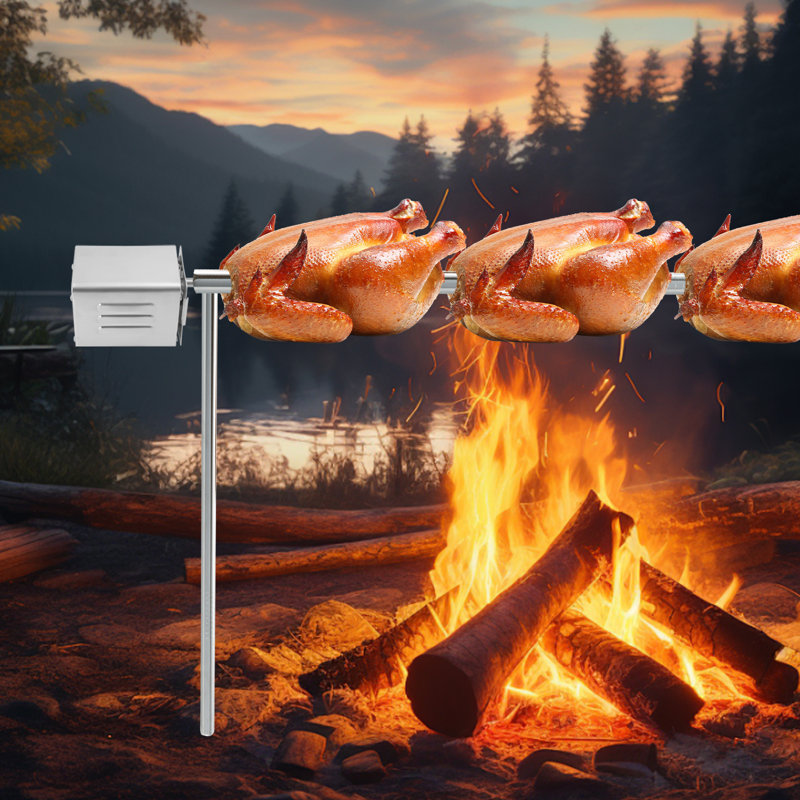 Electric Roaster Barbecue Motor