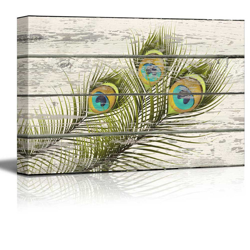 Illustration de plumes de paon colorées, art de maison rustique, H 12 po x l 18 po