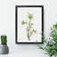 On the Road to Monument by Mary Vaux Walcott - Framed Print-62759945-62759946