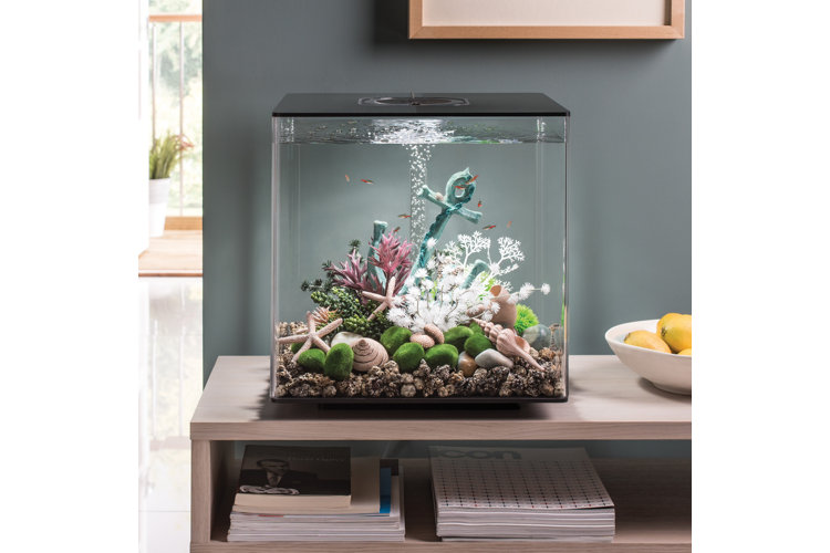 Best Seller Desk Glass Hanging Fish Bowl Fish Tank Mini Table