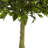 Bay Leaf Topiary Silk Tree