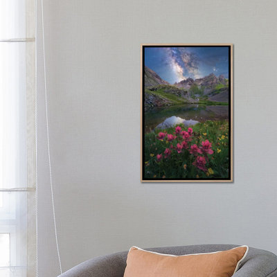 San Juan Mountains Indian Paintbrush Wildflower Milky Way Nightscape 1 Piece Wall Art on Canvas