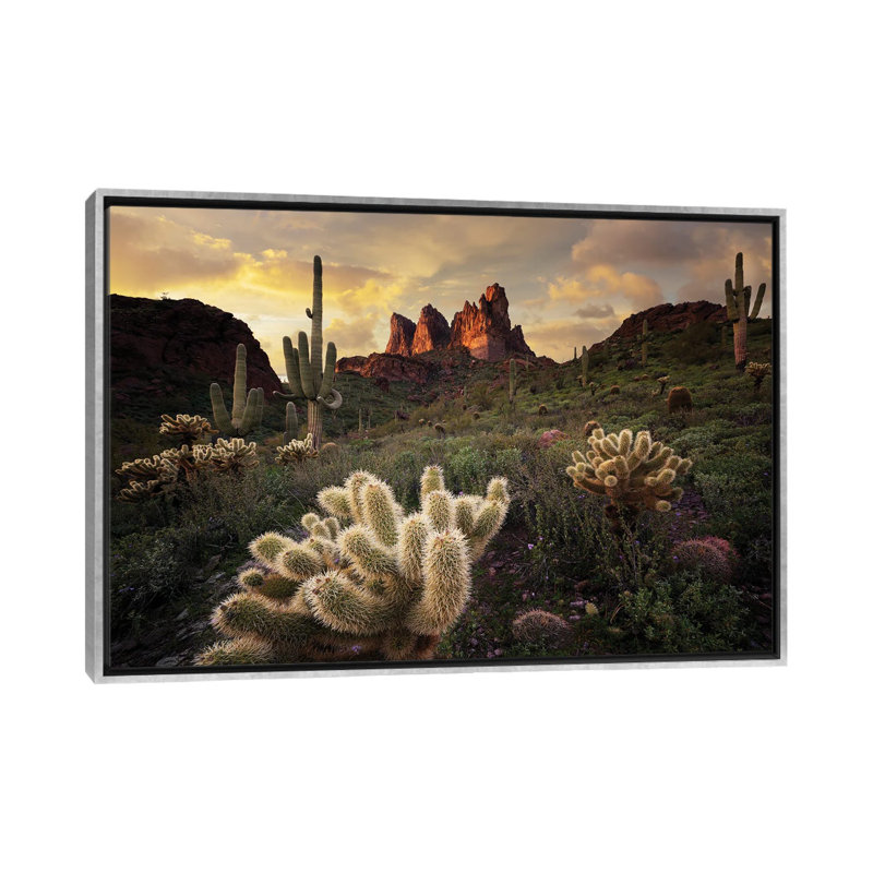 Arizona Desert Sunset, Toile argentée avec cadre flottant, H 40 po x l 60 po x P 1,5 po