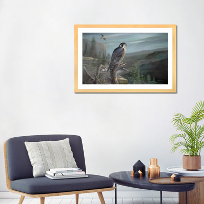 Falcon by Ruane Manning - Painting Print