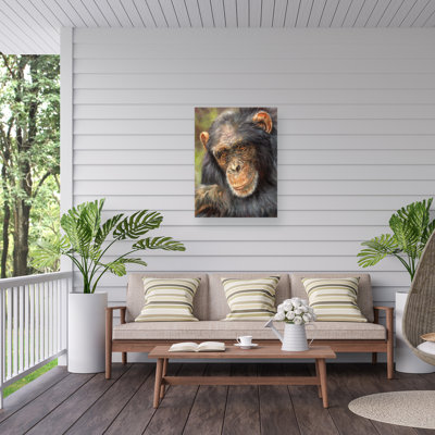 David Stribbling Chimp The Thinker Outdoor  Canvas