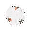 Circular Elegance Placemat 16.5 Inch Round
