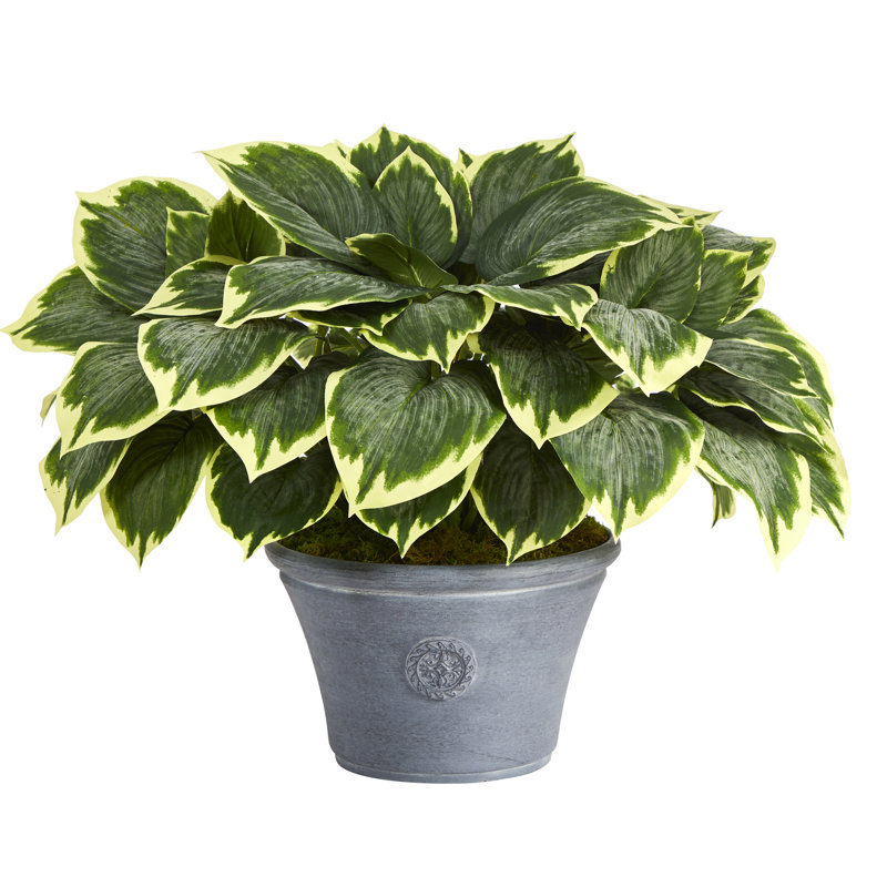23'' Faux Plant in Ceramic Planter