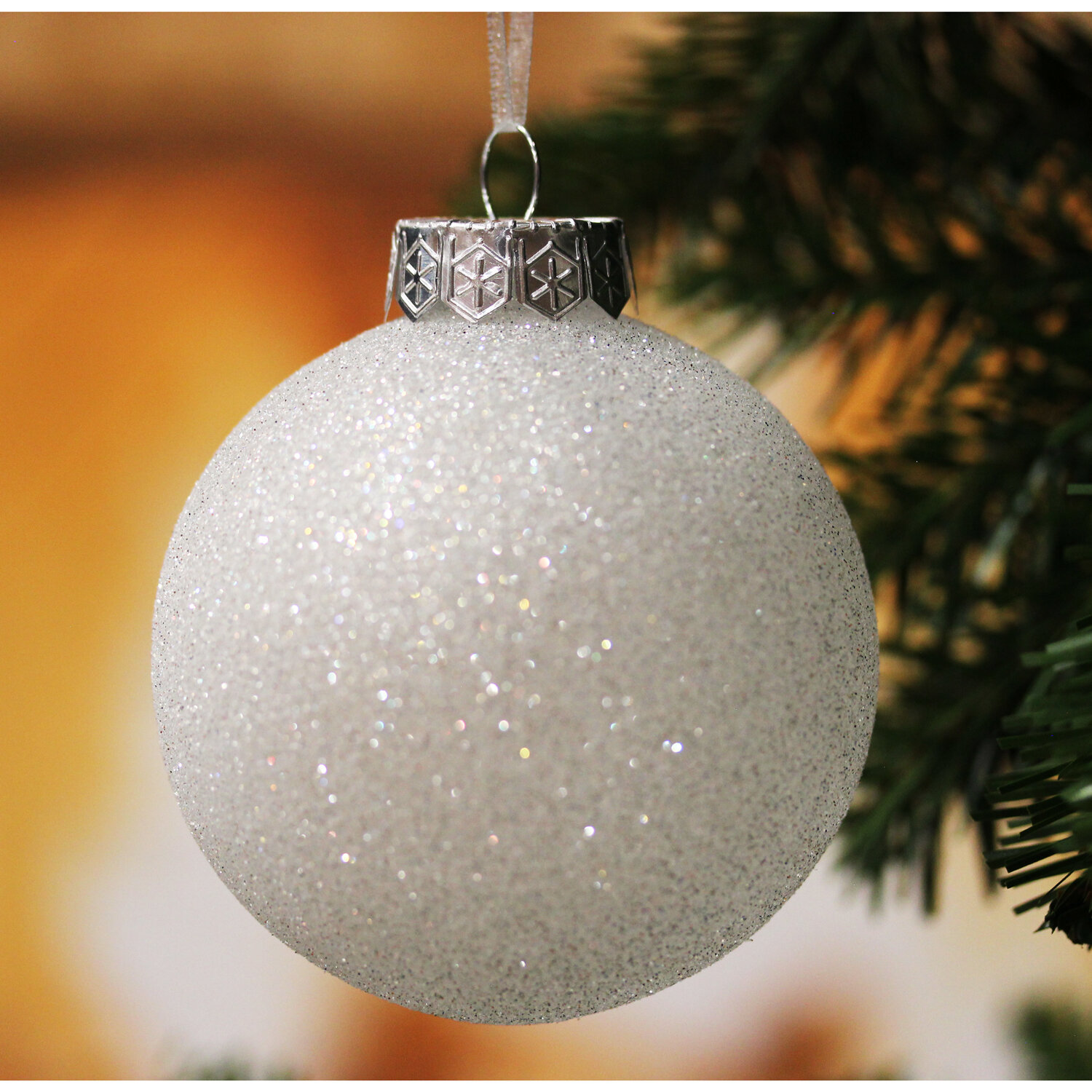 Clear Ornament with Glitter Interior