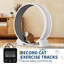 114.3cm H Cat Tree