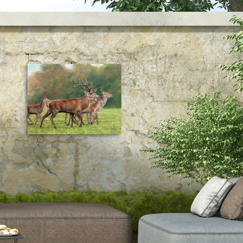 Toile d'extérieur David Stribble Red Deer, H 18 po x l 24 po