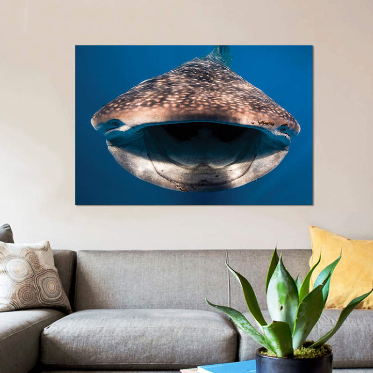 " Whale Shark In Isla Mujeres, Mexico I " by Jennifer Idol, 8" H x 12" W x 0.75" D, Wrapped Canvas, No Mat