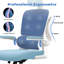 Motonobu Ergonomic Office Chair with Mesh Lumbar Support-631788500-631788496