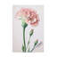 Œuvre bolognaise, rose poudre Inco, œillets-105644694