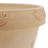 Roderick Planter-1741280425