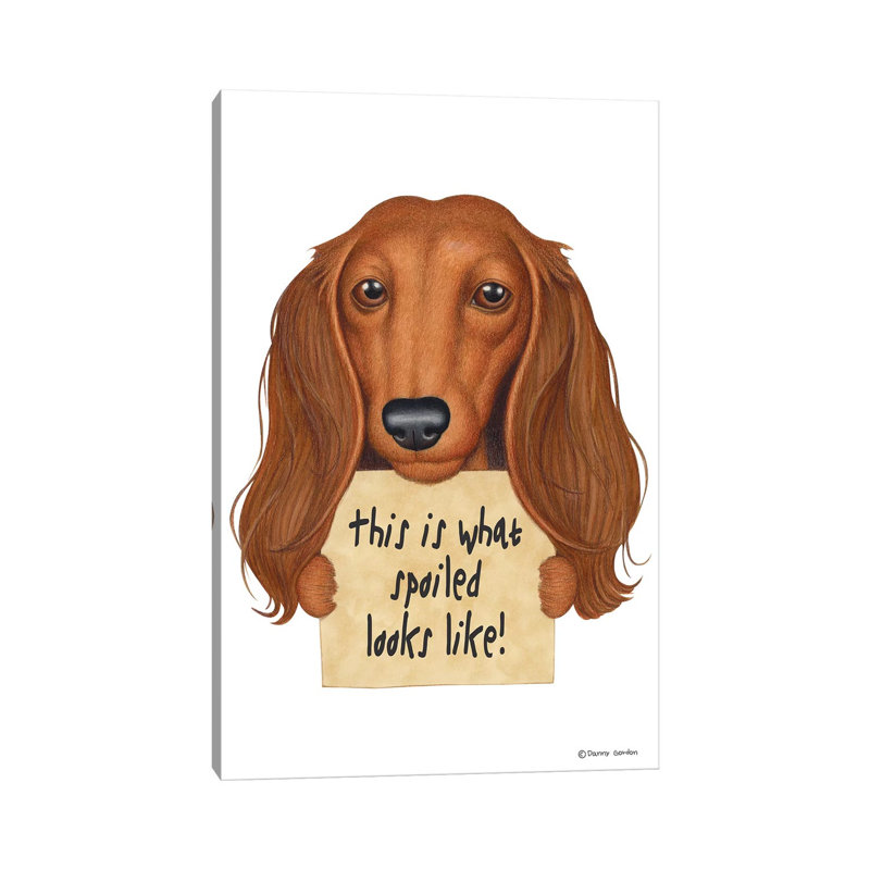 Dachshund Spoiled Looks Like by Danny Gordon - Wrapped Canvas Print