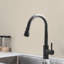 Robinet de cuisine-117496307