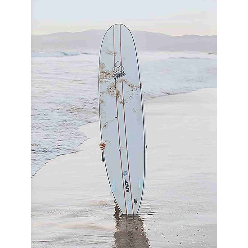 Bednarz planche de surf sur toile, H 16 po x l 12 po x P 1 po