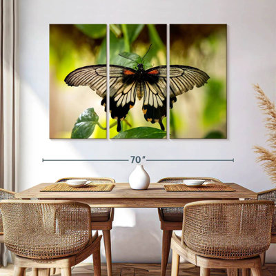 Brampt Monarch Butterfly