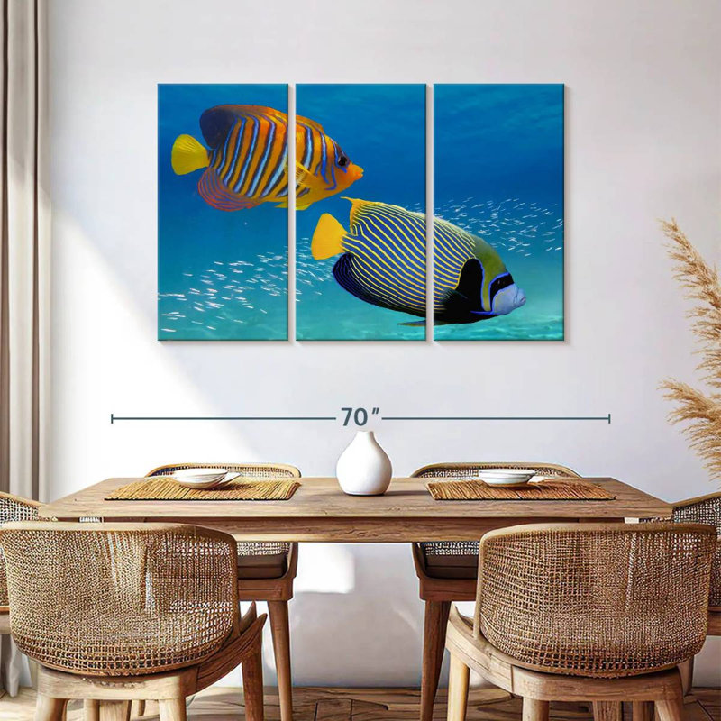 Poisson-ange exotique empereur, H 36 po x l 57 po
