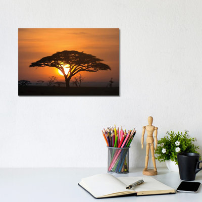 Acacia au lever du soleil. - Impression d'art mural