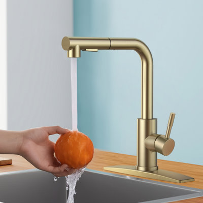 Pull Down Spray Single Lever Kitchen Tap