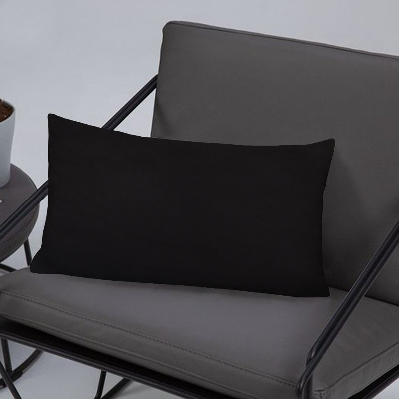 A1HC Set of 2 Luxurious Velvet Throw Pillow Covers — Soft Decorative Cushions with Hidden Zipper, Black, 12" x 20"