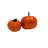 Thanksgiving Decorative Accent