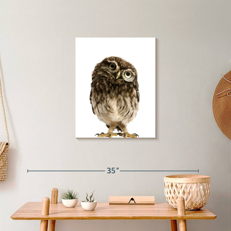 Curious Owl, H 20 po x l 16 po x P 1,25 po