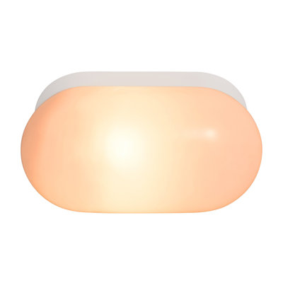 Plastic Flush Mounted Sconce