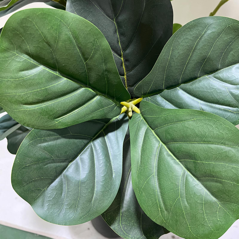 Plant, 180 cm x 5.5 cm