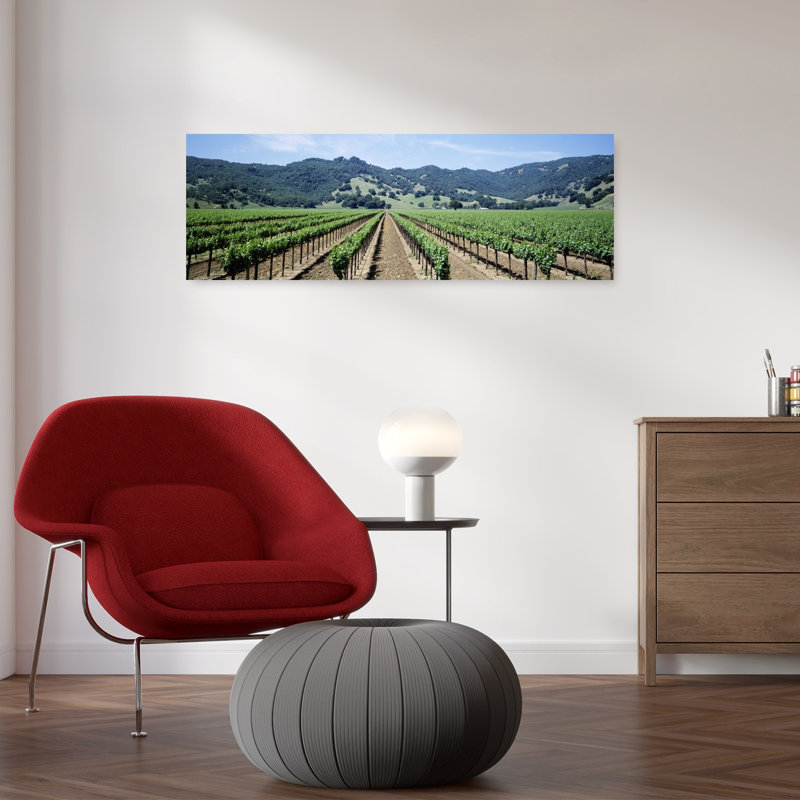 Rangées de vignes dans un vignoble, Hopland, Californie, États-Unis, art contemporain abstrait printemps nature