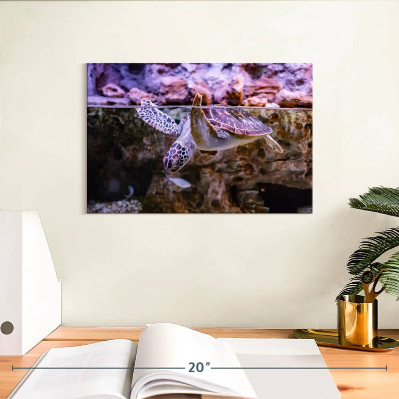 Brampt Turtle Aquarium, 8" H x 12" W