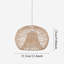 1 - Light Natural Pendant