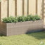 Planter Box-865396268-865396271