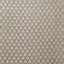 Silvio Fabric