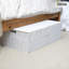 Rebrilliant Plastic Decorative Bin