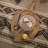 Vintiquewise Wood Tray-53951720-53951721