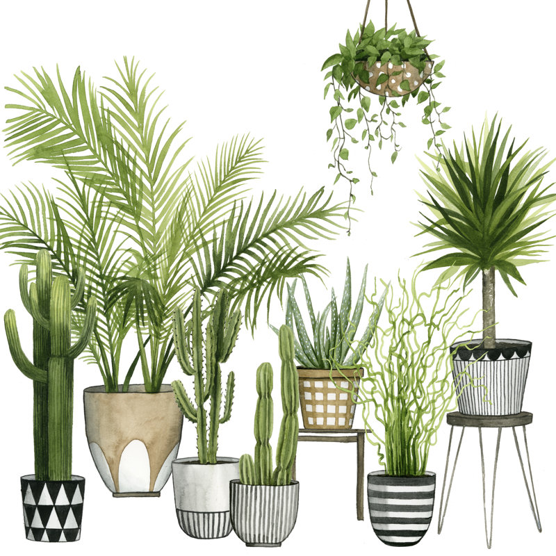 Plant Haven II by Grace Popp - Wrapped Canvas Painting, 91cm H x 91cm W