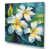 Toile tendue