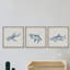 Callum Fiery Sharks Triptych, ensemble de 3 pièces, reproduction encadrée-109258237