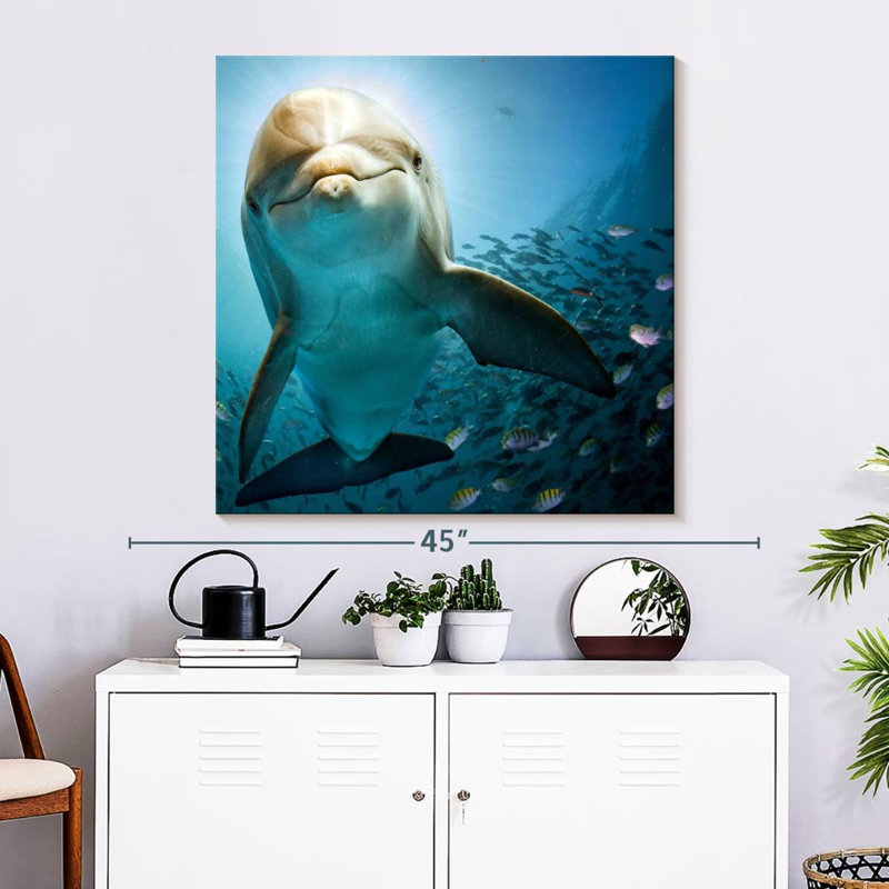 Brampt Curious Dolphin, 33" H x 33" W