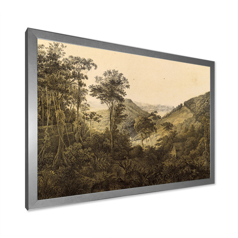 Nature de l'Amérique du Sud, image ancienne - peinture sur toile, H 24 po x l 32 po x P 1 po, Cadre photo argenté