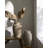 Galey Alix x Livabliss Abbie Vase-578181825
