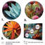 «Succulents Succulent Oasis III», reproduction sur toile-191226225-191226226