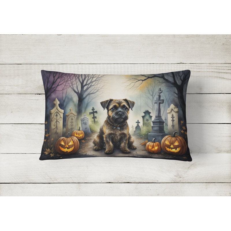 Other/No Pattern Outdoor Throw Pillow