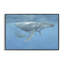 Baleine à bosse sous l'eau, estampe numérique, conception par David Stribble-1830495515-1830495513