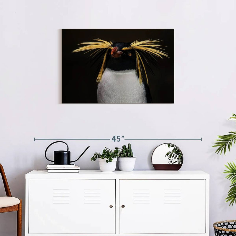 Pingouin, H 20 po x l 30 po