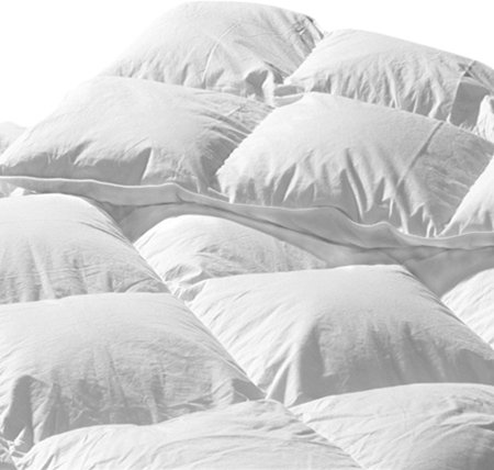 Insert de couette en duvet léger Santa Barbara, Grand (25 oz)