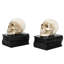 Halloween Gothic Skull Book Ends